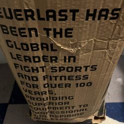 Everlast Punching Bag