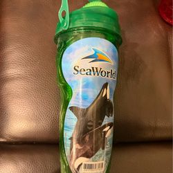 Vintage Souvenir Cups (Six Flags, Sea World, Lego Land)