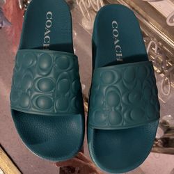 Coach Sandals 