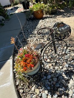 Plant with stand