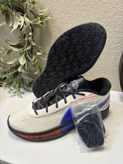 Nike Giannis Zoom Freak 6 EYBL Scholastic PE