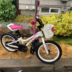 Trek Kids Bike