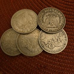 Morgan Silver Dollars  @ Spot
