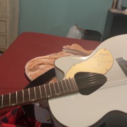Caustic 12 String Guitar 