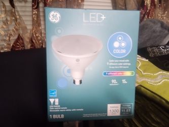 Led+One Bulb+One Function Color