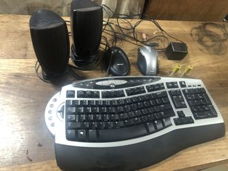 Microfoft Wireless Comfortable Key Board And Dell Speakers