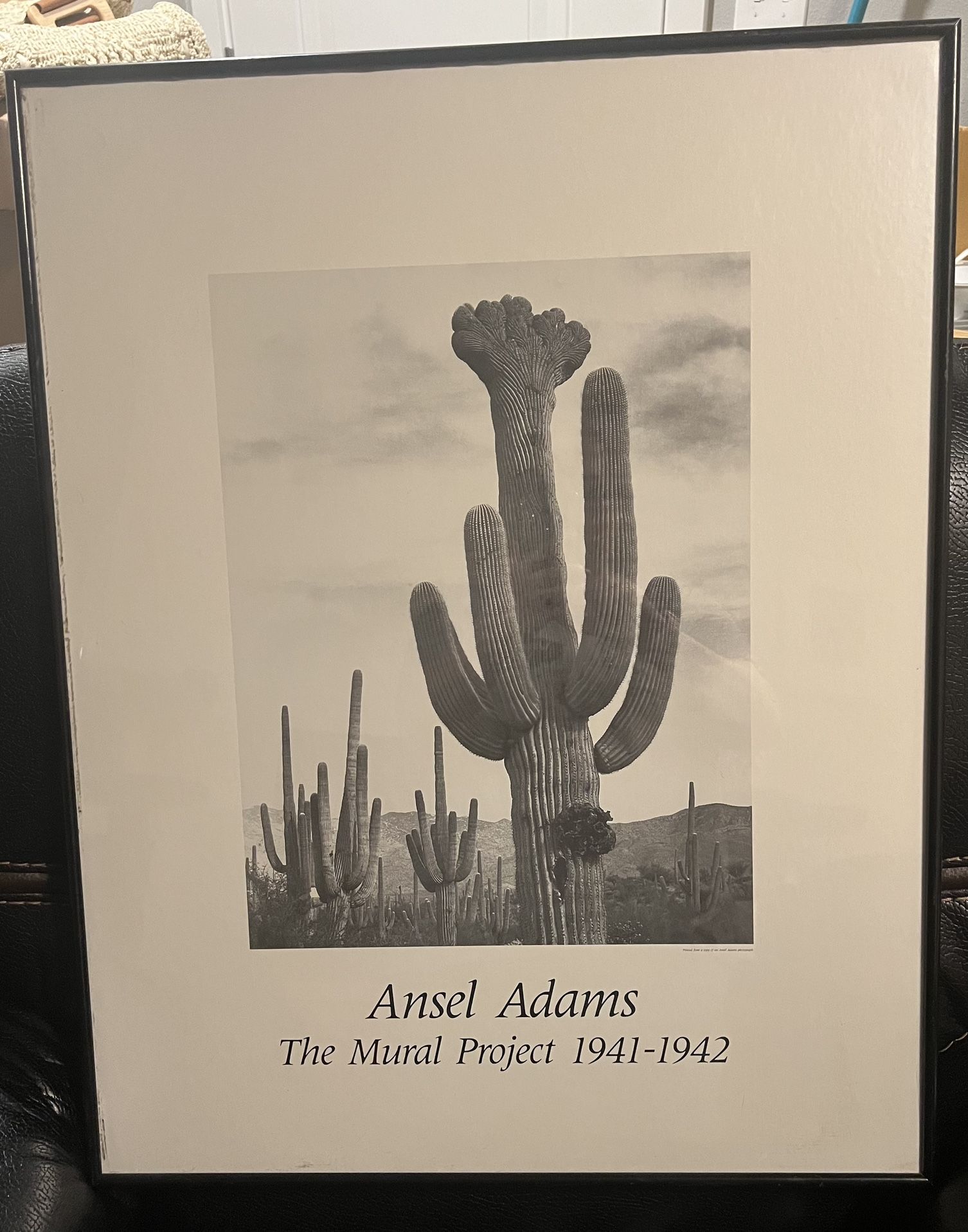 Ansel ADAMS Cactus In Saguaros, Seguaro Nat’l Monument, AZ