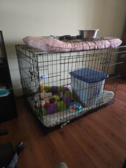 Dog's cage