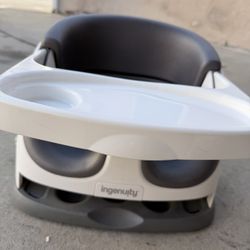 Ingenuity Booster Seat