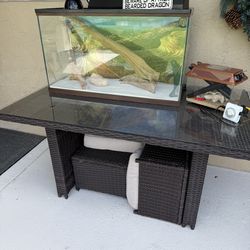 Reptile tank