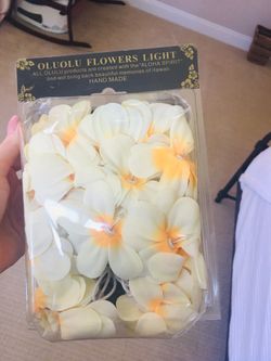 ✨Plumeria Lights in Yellow 🌼