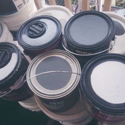 Pintiras Grises Nuevas $25 Cada Una
