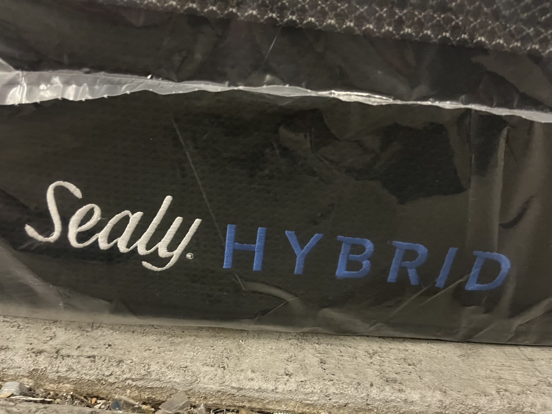 King Hibrid