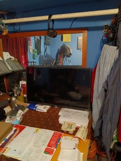 TLC 32 inch inch plasma screen smart tv
