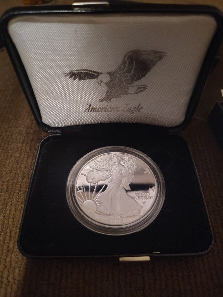 2025 American Eagle Silver Dollar.