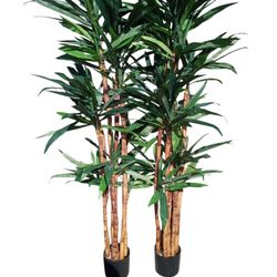 Dracaena Artificial Tree with Natural Trunk