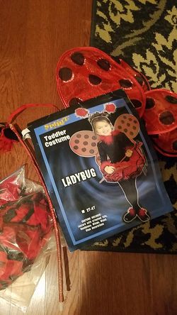 Ladybug costume