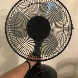 Table Fan