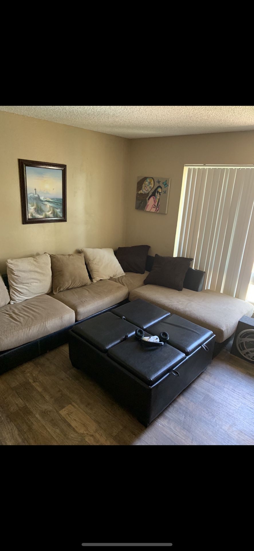 Brand new couches