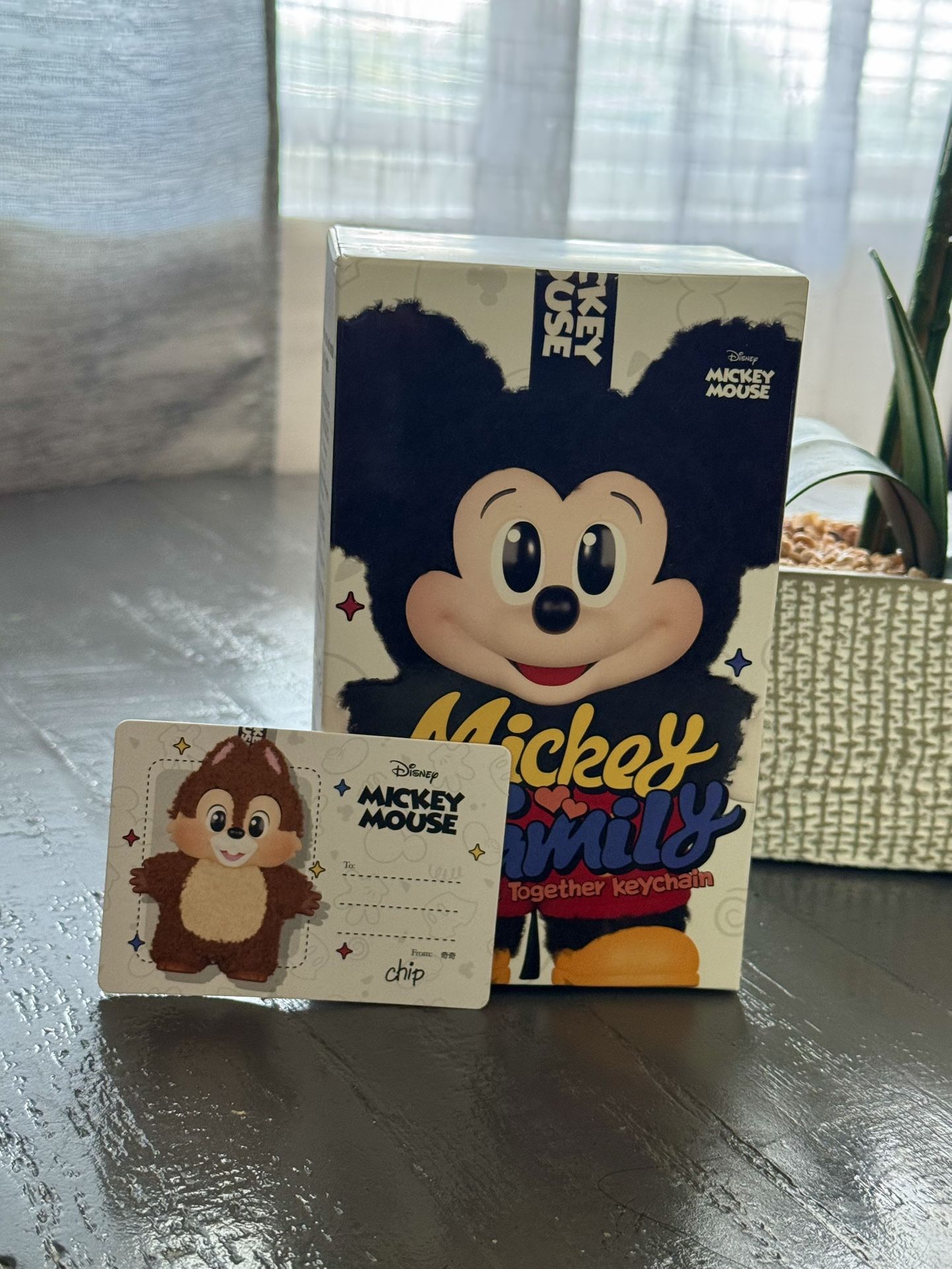 ✨✨•New In Box Mickey Family Chip•✨✨