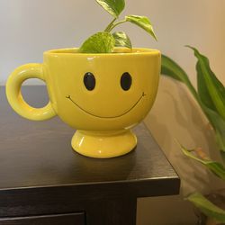 Vintage Smile Smiley Face Mug  Large Happy Emoji Planter With Pothos Plant
