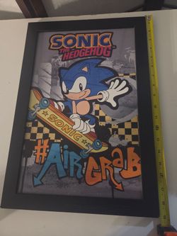 Sonic Frame  19x13"