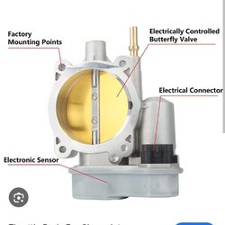 Throttle Body Sensor