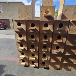 Nest Boxes 
