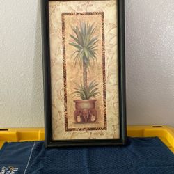 Palm Photo