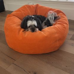 Bright Orange Comfortable Bean Bag Chair (Dog Not Included)
