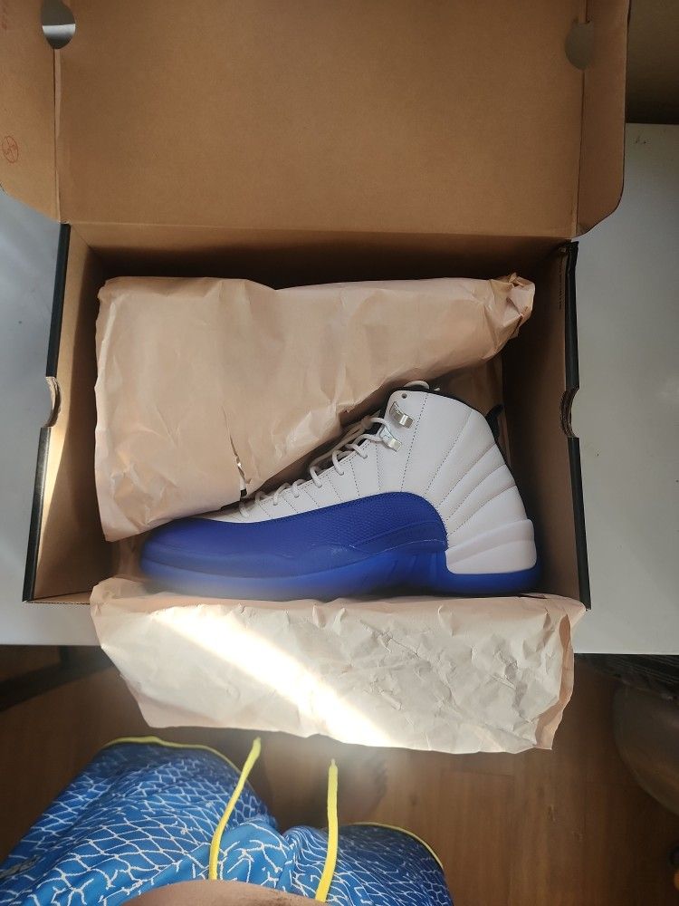Jordan 12s Blueberry