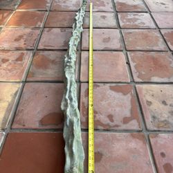 Melted Wax Cactus Cutting