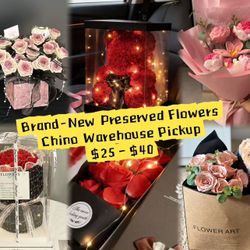 Holiday gifts 🎁 for your dearest and most loved ones: family, friends, and everyone you care about.