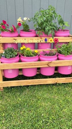 VIRAL 5GAL BUCKET GARDENS!!!!