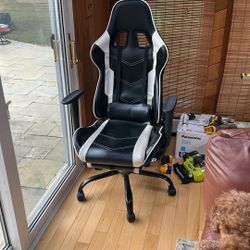 Gaming/Computer Chair