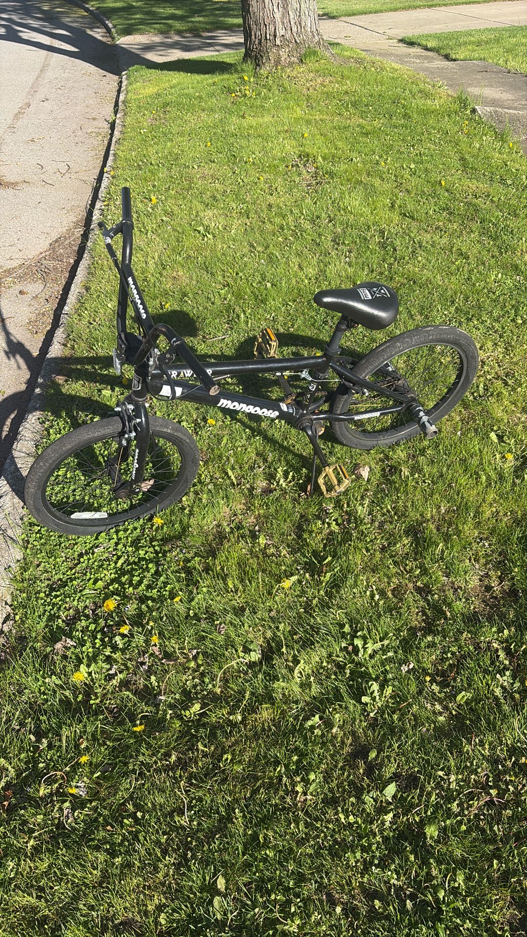 Mongoose bike