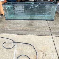 120 gallon fish tank