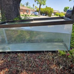 Reptile Tank