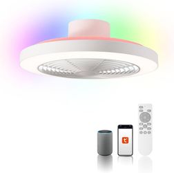 Ceiling Fan