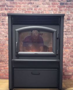 Lopi AGP PS Pellet Stove by Travis Industries