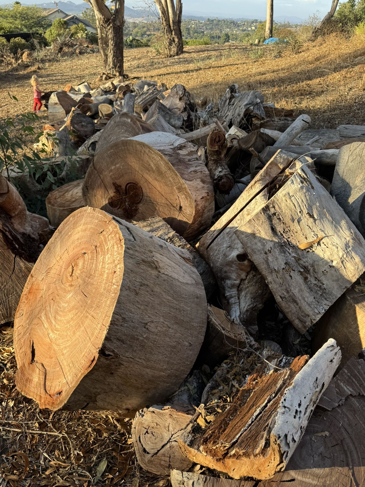 FREE - Firewood / Wood Projects - Logs