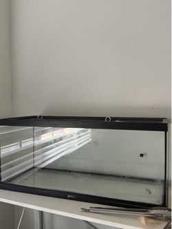 30 gallon tank