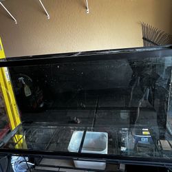 60 Gallon Fish Tank & Stand