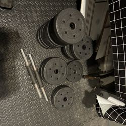 Gym Weights Lot 