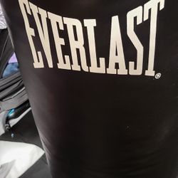 Everlast Punching Bag