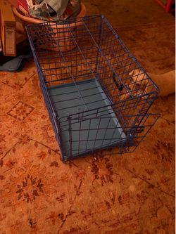 Blue dog cage kennel