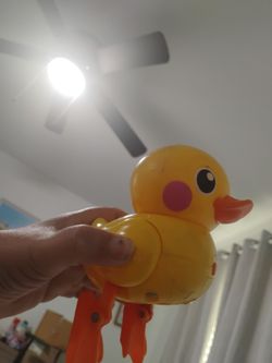 Toy duck