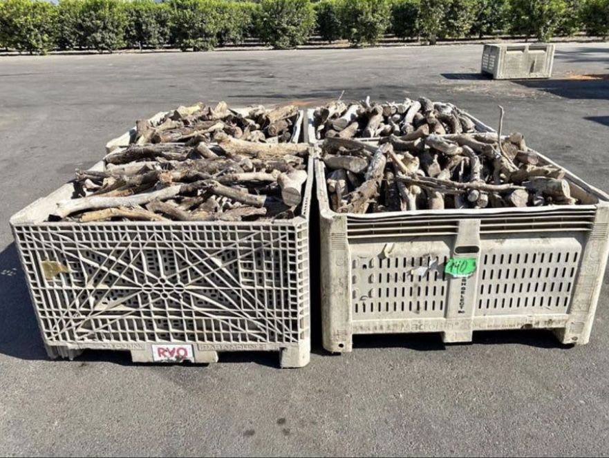 Firewood