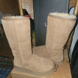 Uggs Classic Tall