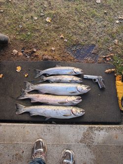 Fishing lures Chinook
